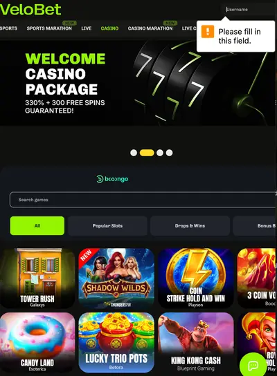 Velobet Casino payment methods